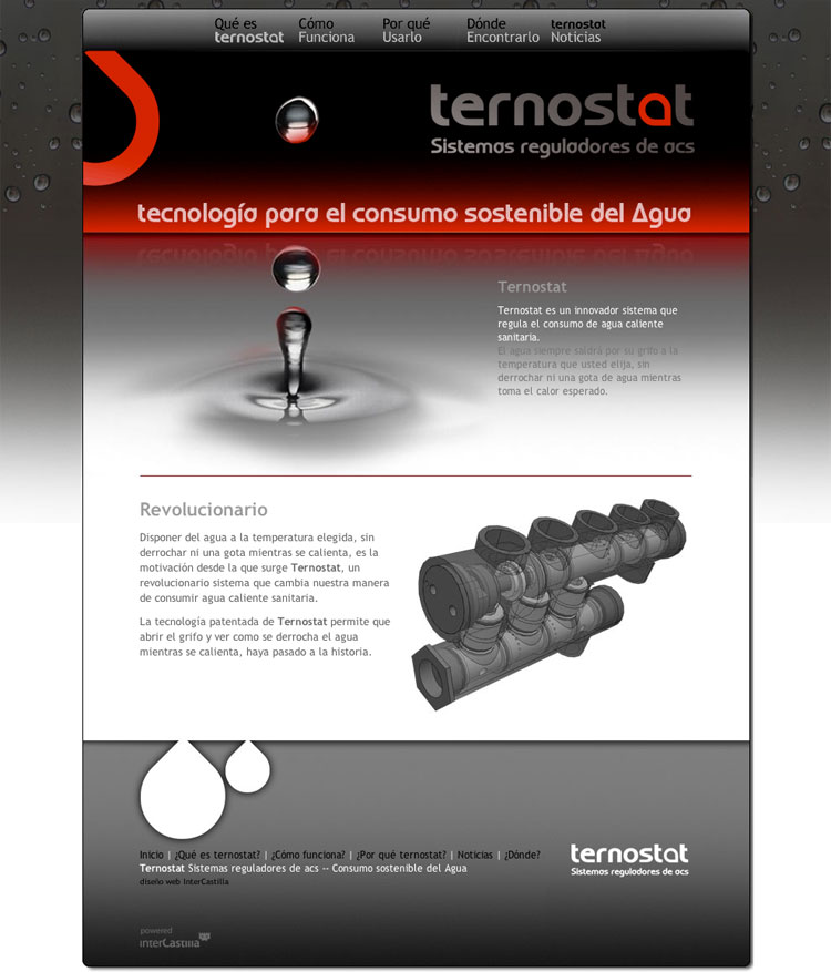 Diseño web Palencia - Ternostat.com