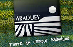 diseño webs palencia